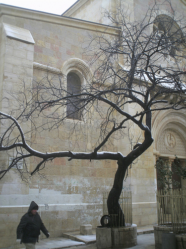Un albero innevato davanti a una chiesa